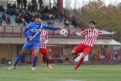 10-GHIVIBORGO