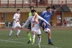20-SAMMAURESE