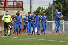 33-VIAROLESE